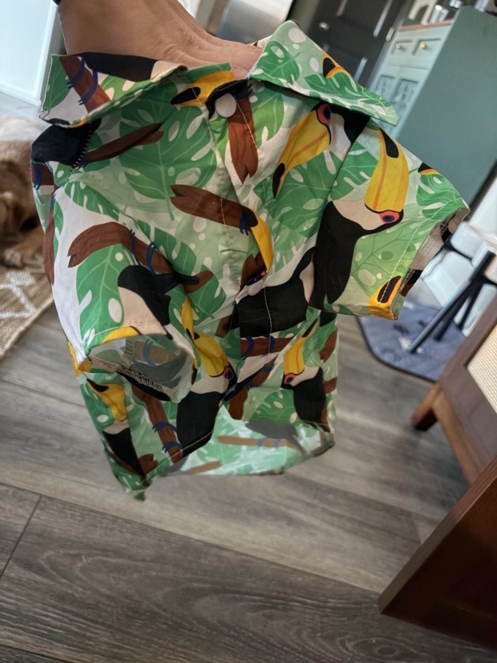 Men's Tropical Toucan Print Shorts — Green